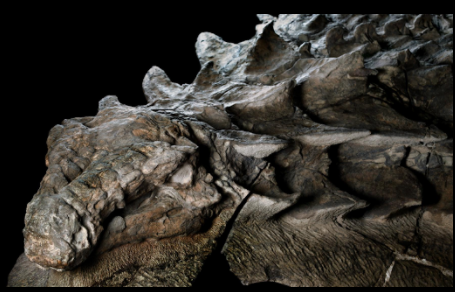 Shockingly lifelike dinosaur fossil makes1