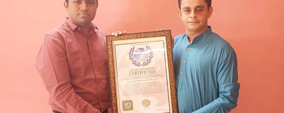 The Largest Tree Seed Dispersal in a Single Day